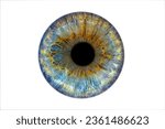 Small photo of Close up of eye iris on white background, macro, photography