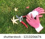 Small photo of Background of glove in pink color and plant cutter lay down on the green grass.