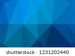 light blue vector shining... | Shutterstock .eps vector #1231202440
