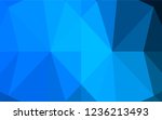 light blue vector hexagon... | Shutterstock .eps vector #1236213493