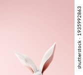White Rabbit Ear On Pastel Pink ...