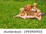 Teddy Bear's Picnic.  Five Cute ...