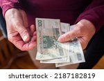 Small photo of pensioner woman holding in her hands money bills zloty pension and pennies for payment
