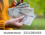 Small photo of the girl holds in her hands banknotes money polish zlotys and pennies coins salary for payment