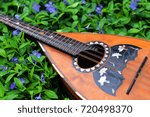 Small photo of Musical instrument mandolin on the grass with a braw