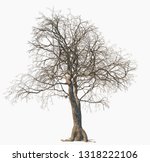 dead tree isolated on white... | Shutterstock . vector #1318222106
