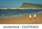 Small photo of Lennox Head beach in Ballina, NSW, Australia