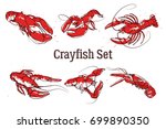 Set of vector crawfish illustrations drawn in ink. Splattered seafood concept on white background. Hand drawn boil prawn or lobster. Text CRAYFISH SET. Sketch vector set good for pub menu decoration