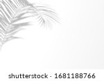 organic tropical foliage shadow ... | Shutterstock . vector #1681188766