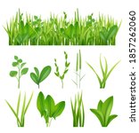 grass realistic. ecology set... | Shutterstock . vector #1857262060