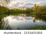 Peaceful pond at sunset in the idyllic Snoqualmie Valley near Seattle in the Pacific Northwest with the trees and clouds reflecting in the calm water