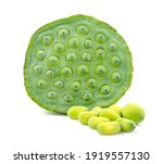 Lotus Seeds Close Up Isolated ...