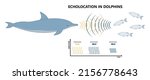 bio sonar sound detect object... | Shutterstock .eps vector #2156778643