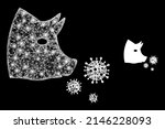bright network pork flu... | Shutterstock .eps vector #2146228093