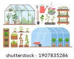 greenhouse flower plant... | Shutterstock .eps vector #1907835286