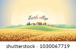 rural landscape with a wheat... | Shutterstock .eps vector #1030067719