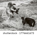 Small photo of little child protects cat from dog. interaction between humans and Pets. enmity. protecting weak.