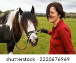 Small photo of A woman and her skewbald Irish Gypsy Cob horse laugh together in a grassy field