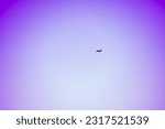 Plane flying seen from ground with purple sky background