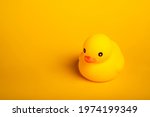 Yellow Rubber Duck Cute Toy Put ...