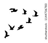 birds flock  vector | Shutterstock .eps vector #1144736783