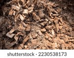 Small photo of A Substratum texture pattern background for garden agriculture