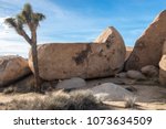 Rocks Of Desert Joshua Tree ...