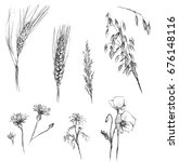 grains and field flowers... | Shutterstock . vector #676148116