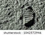 Buzz aldrin's footprint on the...