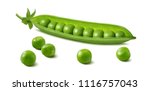 Fresh green pea pod with beans isolated on white background. Horizontal design element with clipping path