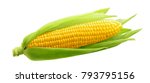  single ear of corn isolated on ...