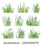 set of  green grass with wild... | Shutterstock .eps vector #1569204970