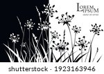 black white stylish floral... | Shutterstock .eps vector #1923163946