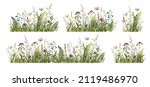 Spring or summer colorful floral set with meadow wild herbs and flowers. Wild flowers. Vector illustration.