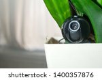 Webcam hidden in a flower pot for covert surveillance of the house. Surveillance and security systems. Smart House. Espionage. Hidden camera for watching