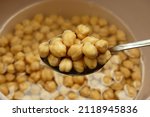 Small photo of raw chickpeas pre-soaked for cooking, chickpeas soaked in water and swollen, close-up raw chickpea grains