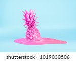 Pink Pineapple Concept