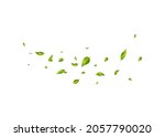 leaf falling. vegan  eco ... | Shutterstock .eps vector #2057790020