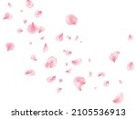 flower petal flying background. ... | Shutterstock .eps vector #2105536913