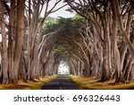 Natural Tunnel Created By...