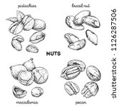 pistachios  brazilnut ... | Shutterstock .eps vector #1126287506