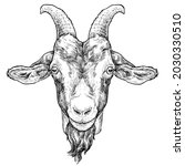 Goat Hand Drawn Portrait....
