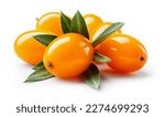 Small photo of Buckthorn isolated. Sea buckthorn with leaves on white background. Buckthorn berries with clipping path. Full depth of field. Perfect retouched image.