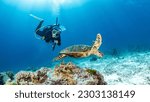 Small photo of Female scuba diver taking a photo of Hawksbill Turtle swimming over coral reef in the blue sea. Marine life and Underwater world concepts
