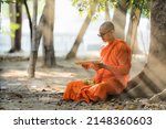 Small photo of Thai or Myanmar or Cambodia Buddhist monk sitting under tree in buddhism school monastery reading and studying Buddhist lessen book
