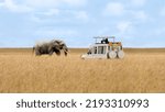 Small photo of Lone African elephant walking with blurred foreground of savanna grassland and tourist car stop by watching at Masai Mara National Reserve Kenya.