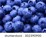 Background Full of Fresh Ripe Sweet Blueberries Covered with Water Drops. Summer Berries, Harvesting Concept