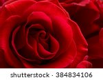 Beautiful Red Rose on Pastel Background Free Stock Photo