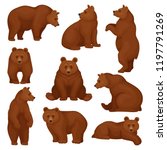 Flat Vector Set Of Large Bear...