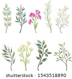 set of branches of field plants.... | Shutterstock .eps vector #1543518890